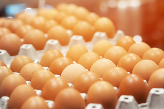 The Great Egg Debate: Busting Myths and Unveiling the Truth About Cholesterol and Heart Health