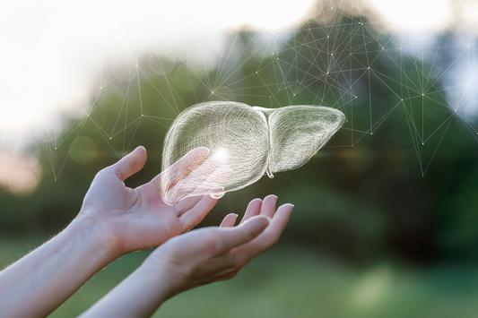 How Liver Aging Impacts Your Entire Body: A Wake-Up Call for Better Liver Care