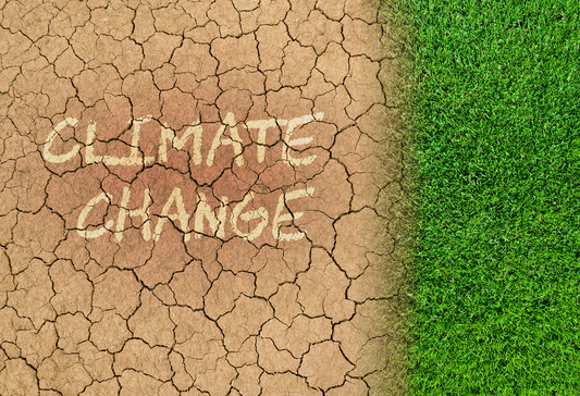 The Hidden Threat of Global Warming: How Dry Air Affects Our Respiratory Health?