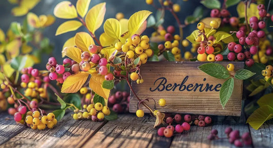 Berberine: The Natural Wonder Working Overtime to Keep Your Organs Happy