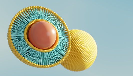 Liposomes: Nature's Nanoscale Vesicles with Versatile Applications