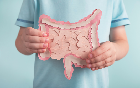 Dietary Choices: The Pivotal Factor in Gut Microbiota Restoration