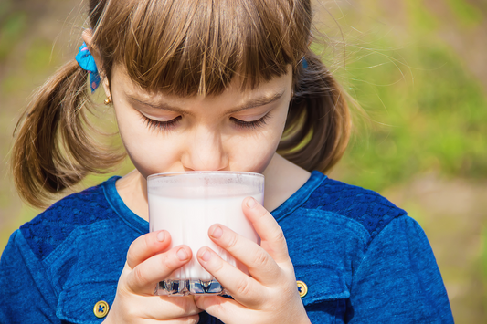 Whole Milk, Healthy Gut: The Unexpected Benefits You Didn’t Know About