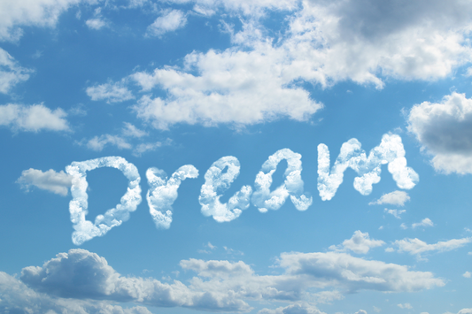 The Brain’s Secret During Sleep: How Dreams Reshape Memory and Prepare for the Future