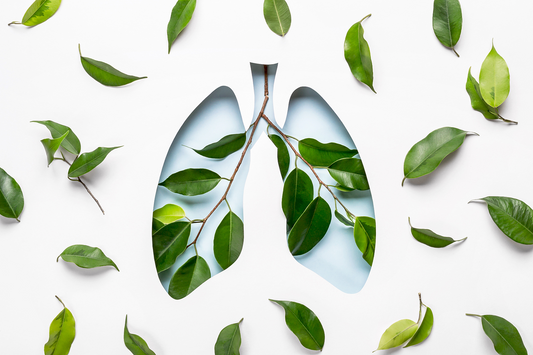 Unveiling the Lifelong Journey of Lung Function: A Paradigm-Shifting Discovery