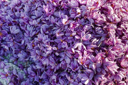 Saffron and Sleep: New Clinical Evidence on Mood and Daily Function