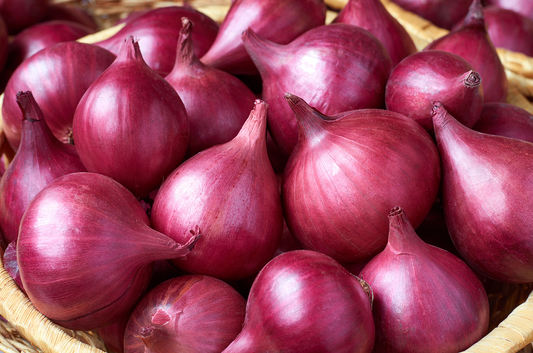 Onions Revisited: How a Common Kitchen Staple Unlocks Anti-Cancer Immunity and Ovarian Protection Through Quercetin and the Gut Microbiota