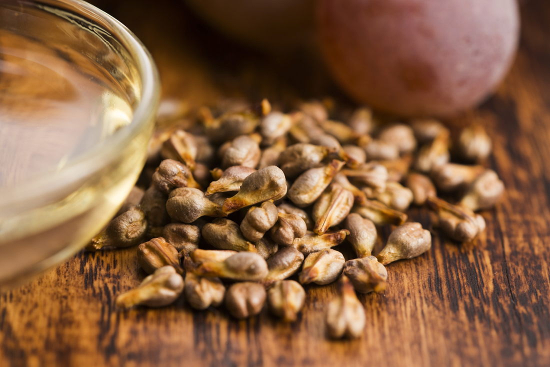 Procyanidin C1 Shows Promise in Slowing Age-Related Retinal Degeneration