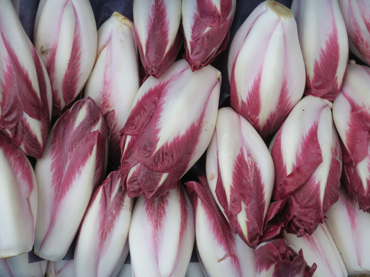 Chicory: A Natural Source of Inulin and Bioactive Compounds