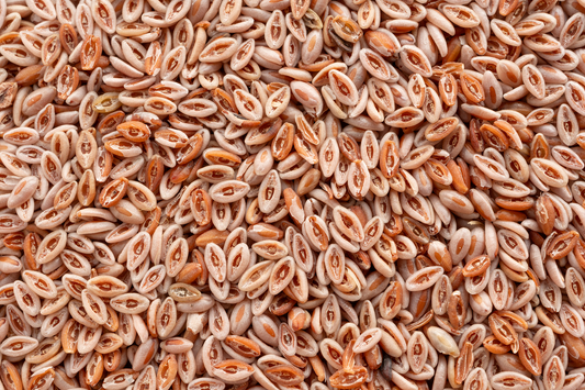 The Rise of Fiber: Why Psyllium Husk Is Gaining Attention