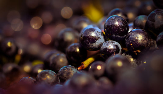 Resveratrol: A Natural Polyphenol for Healthy Aging