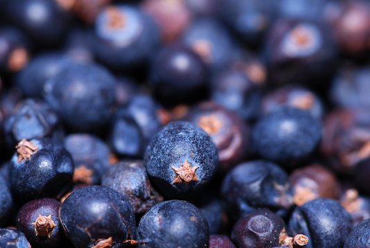 Anthocyanins: Nature's Colorful Guardians of Health