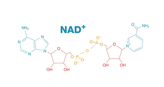 Unveiling the Wonders of NAD+: A Key Player in Health and Longevity