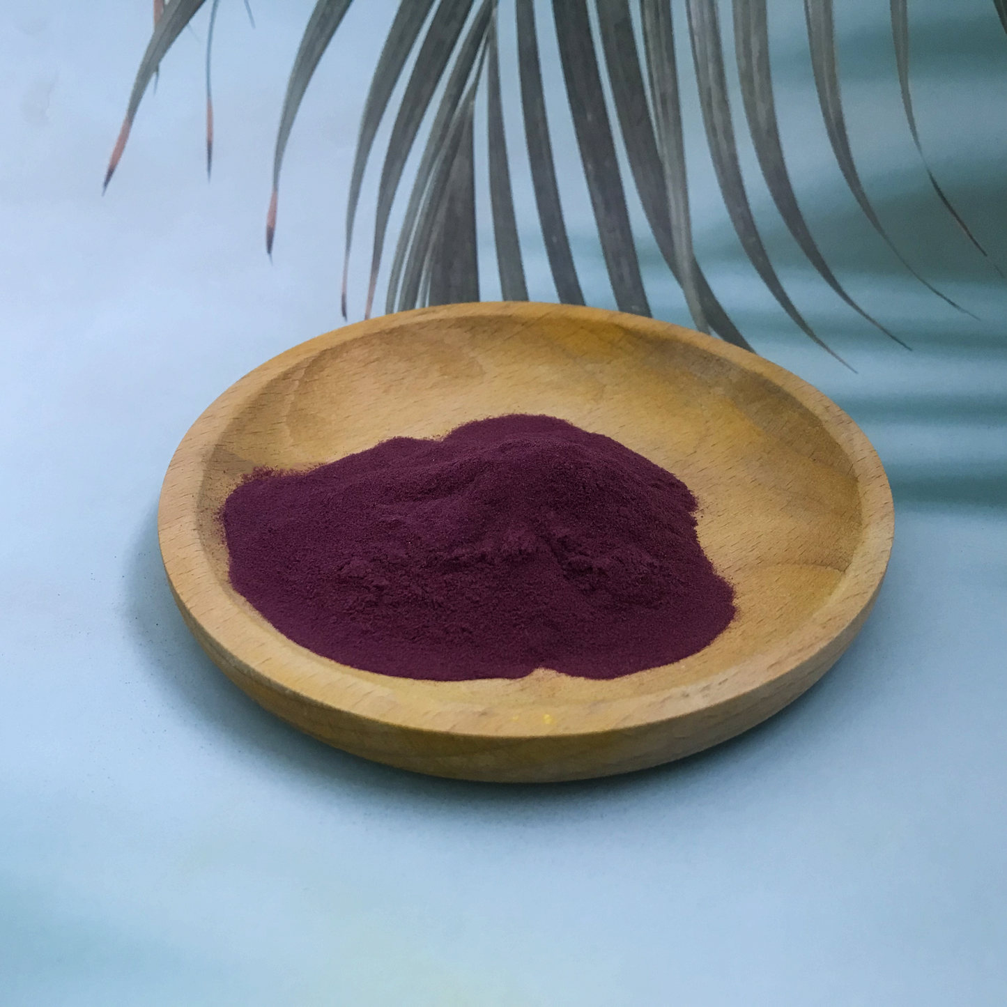 Elderberry Extract