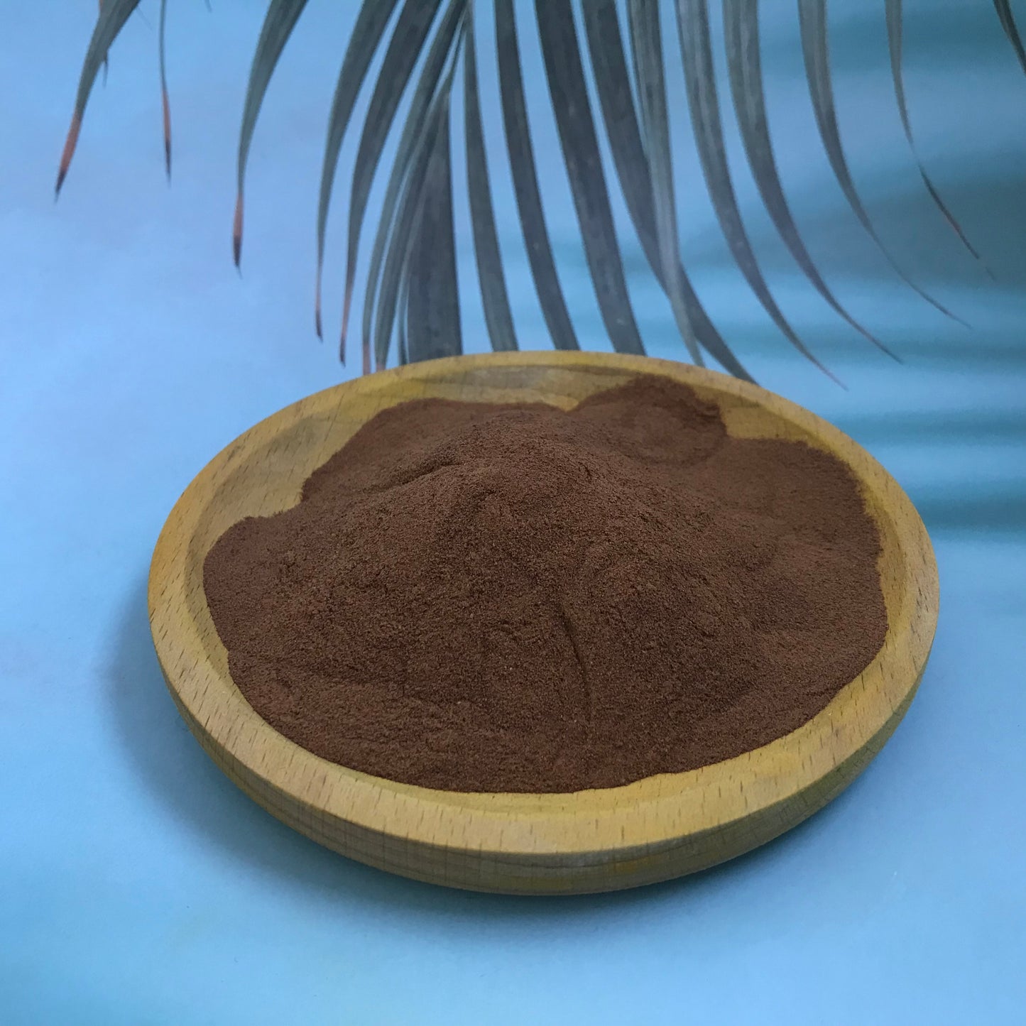 Shilajit Powder